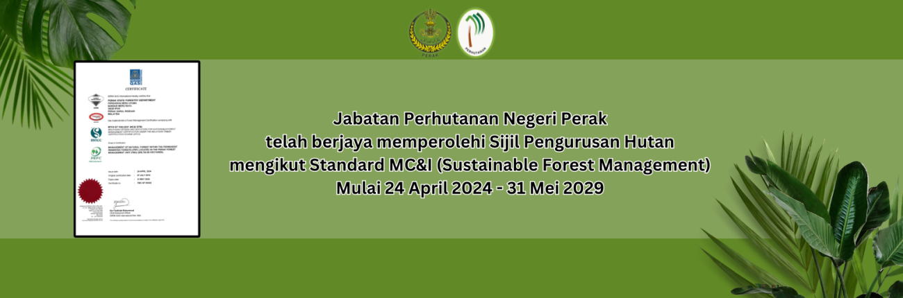 06-sijil_MCI_baru_